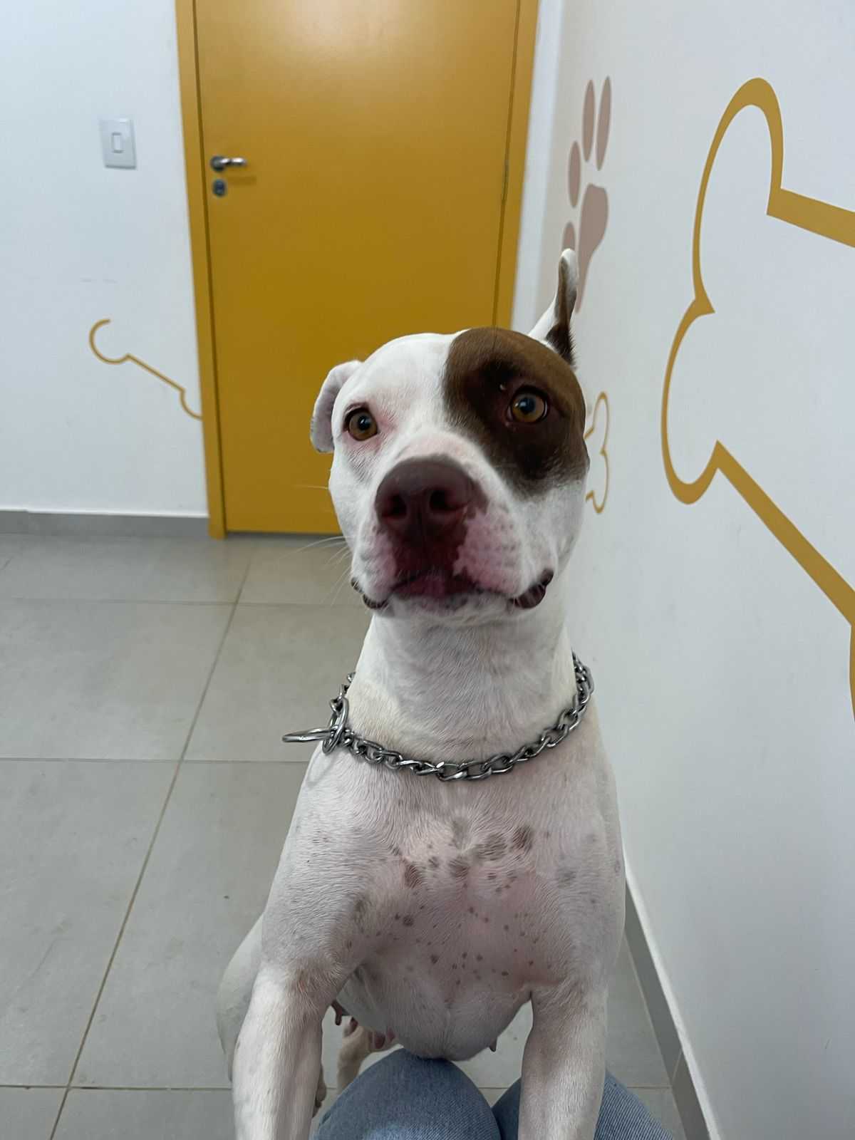 Foto da Galeria