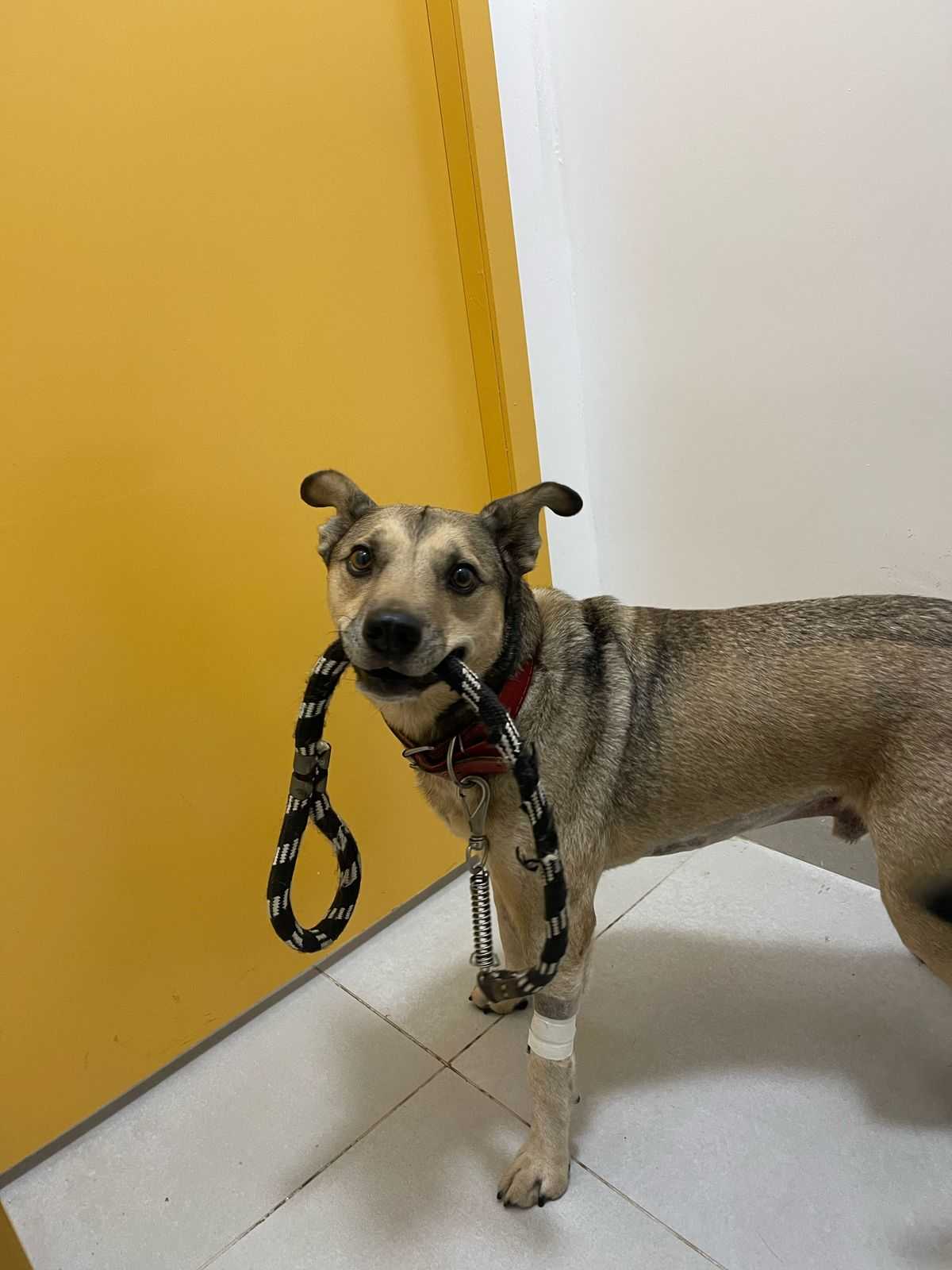 Foto da Galeria