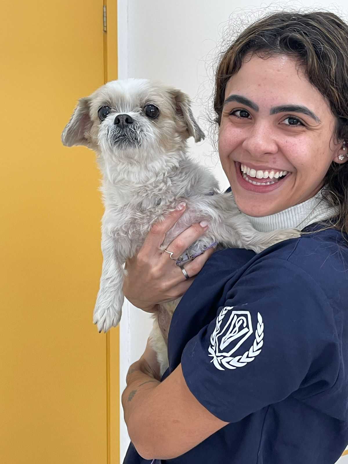 Pet Sitter Landing Image